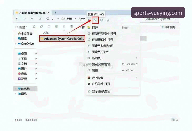 悦盈体育平台下载安装全流程深度分析：版本差异与操作细节详解